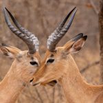 Test Title 77777888888 숫자가 많으면 좋은 글일까