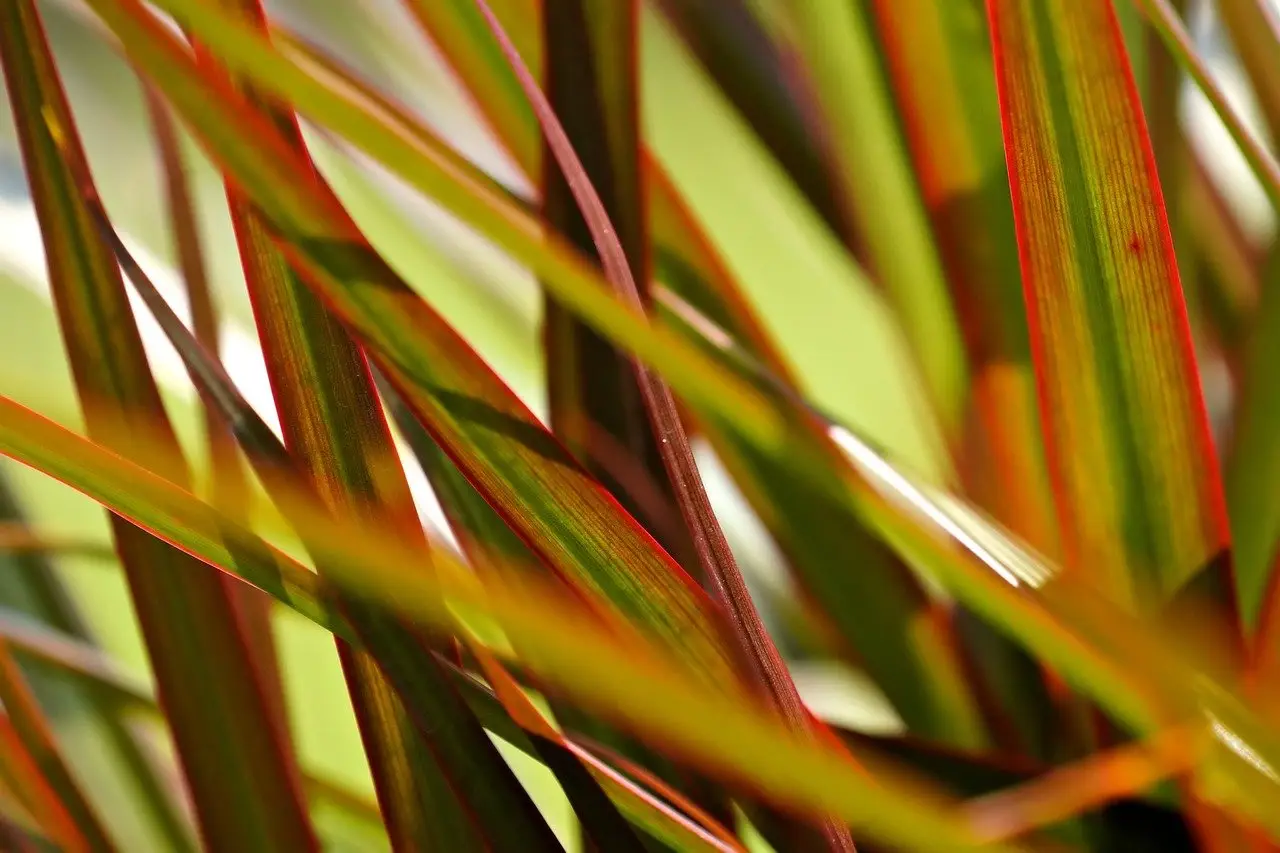 Test Title 555555556666666